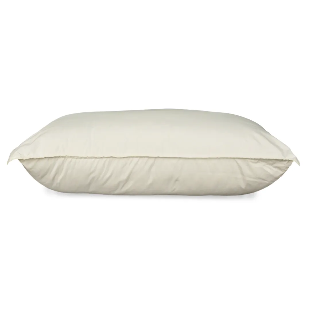 Ann Taylor Pure Cotton Pillow