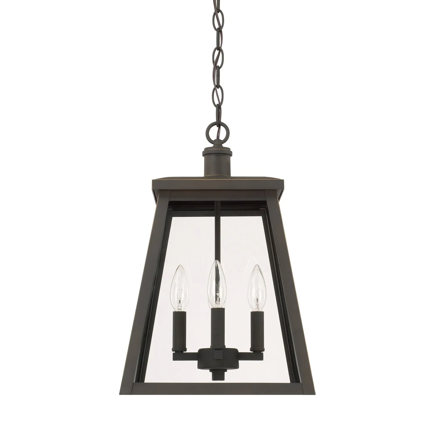 Belmore 4-Light Outdoor Hanging Lantern