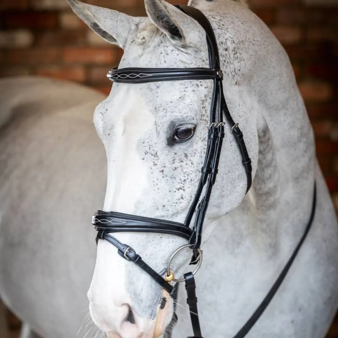 LeMieux Competition Flash Bridle