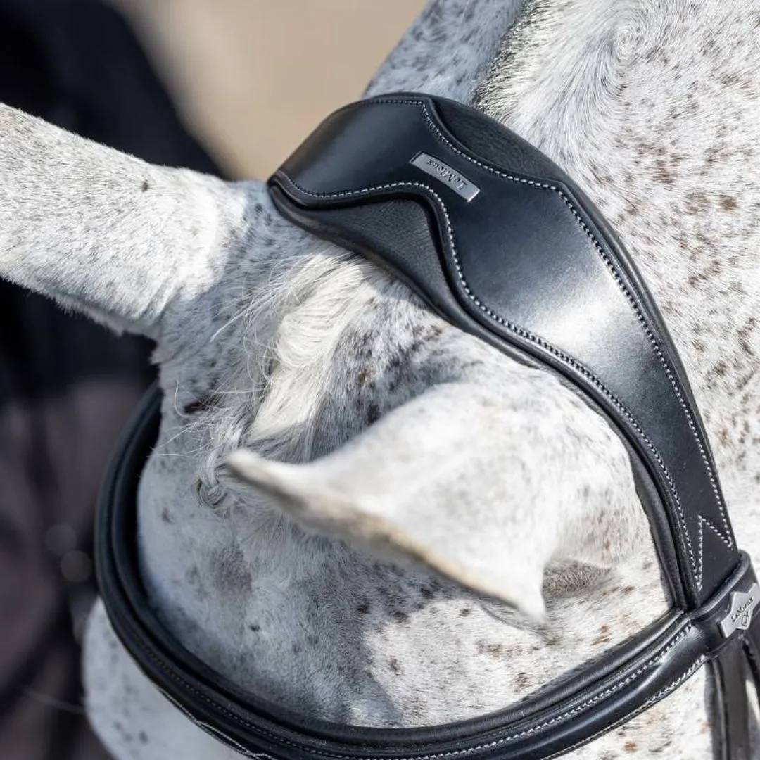 LeMieux Competition Flash Bridle