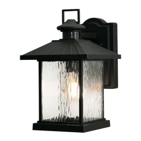 Lennon 14 in. Outdoor Wall Light Black Finish