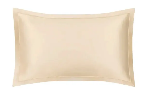 Mayfairsilk Champagne Oxford Pure Silk Pillowcase