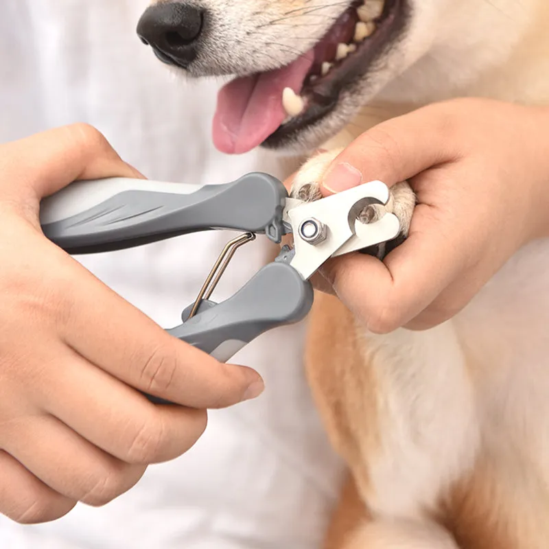 Pat and Pet Emporium | Pet Grooming | Pet Clipper