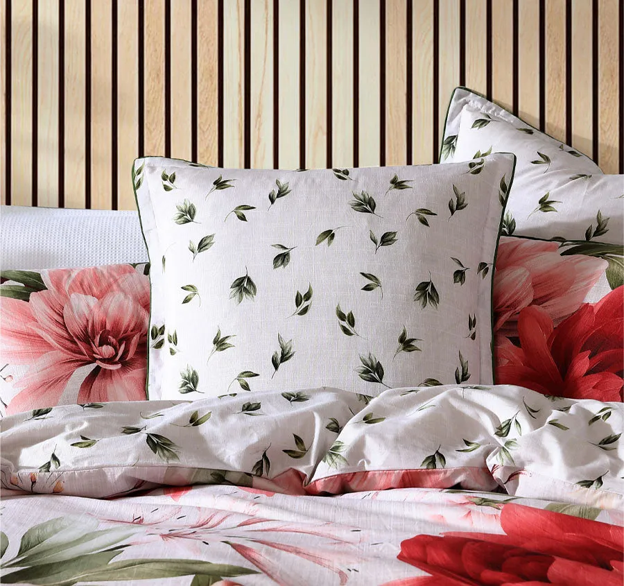 Phoebe European Pillowcase Rose