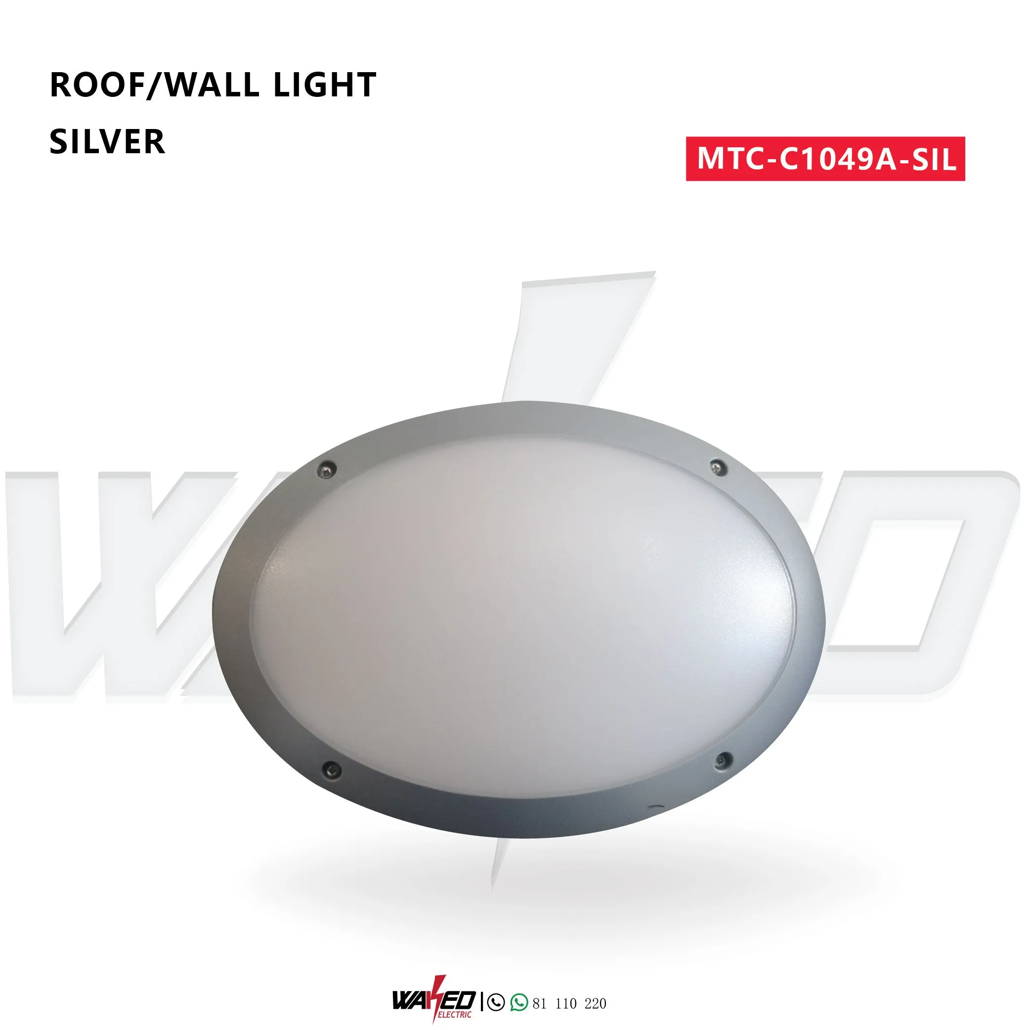 Roof/Wall Light