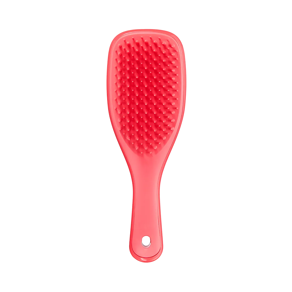 Tangle Teezer Detangler Mini Pink Punch